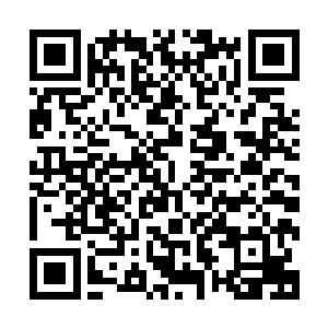 本来计划以天瞒术显示出能够幻化出数十丈大小黄衫树的资质二维码生成