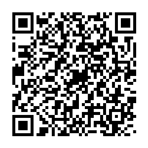 本来还有点脆弱的死亡藤蔓瞬间疯狂生长起来……彻底笼罩了幻影之王二维码生成
