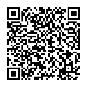 本来那些家族和门派的长老们还有些猜测白正南之前的那句话到底是什么意思二维码生成
