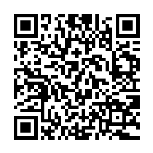 本神兽似乎在什么时候遇见过和你气息差不多的存在二维码生成