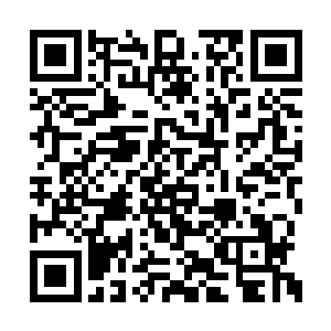 本质上和我们看的那些网络架空小说没什么区别二维码生成