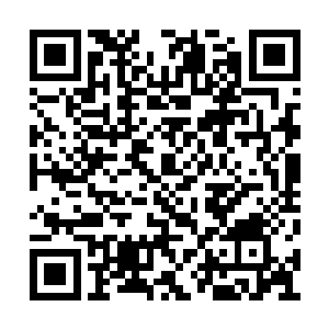 术士们的辉煌也是来自于众多异世界的血脉支持二维码生成