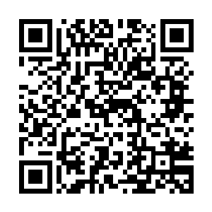 机器人z2093看起来就和同批次出场的保姆机器人一模一样了二维码生成
