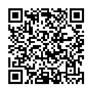 机器智能的暴动令人类社会的发展进程倒退了至少一千年二维码生成
