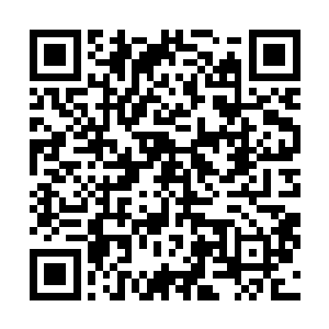 机械巨人将拉在拖车里的箩筐一般大小的石头放在载斗里二维码生成