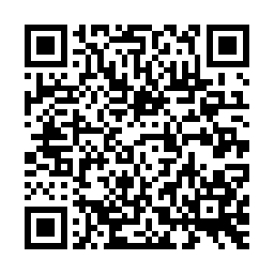 机械族族长没有说出口的话是……这场爆炸绝对会将苏落毁灭二维码生成