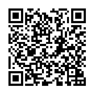 杀戮模式下被判定为帮助对方队伍或故意坑队友的玩家二维码生成