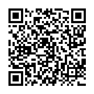 李向新便给自己挺讨厌但又不得不巴结的程风云打了电话二维码生成