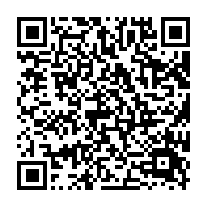 李大财主几乎差点将手里花了大价钱买回来的顶级南海珍珠给丢到地上二维码生成