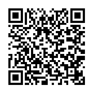 李天宇将对方储物戒指内的丹药和一百多中品灵石二维码生成