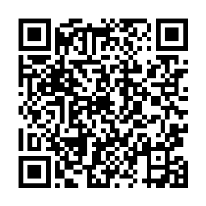 李姗姗是通过一家驻册在上海的中介机构办理的移民手续二维码生成