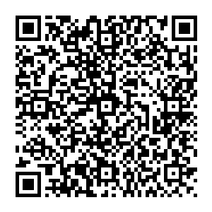 李家的人也都是树倒猢狲散了……曾经那个被誉为宁海第一豪门的李家也就在半个月内彻底的烟消云散了二维码生成