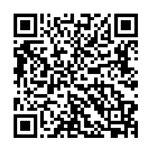 李小梅终于看清楚了他说的所谓的破损一一个黄豆大小的黑点二维码生成
