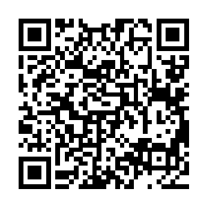 李川知道知性美女指的是用灵力结晶增强苏雨果身体素质的计划二维码生成