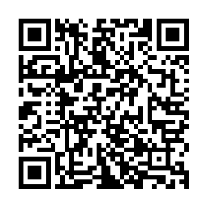 李若希立刻将乞求的视线投向小舅舅……有长辈在场拦着大小姐二维码生成