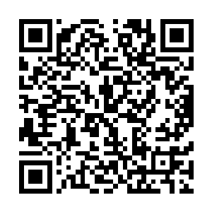 李谦从头到尾压根儿也没指望过自己能得到什么特殊的对待二维码生成