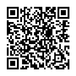 李锐并没有傻傻的进到小区里一家一家的询问有没有房子出租二维码生成