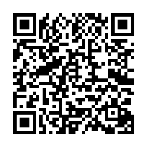 李雨彤就带着林烽通过办公室内的秘密电梯往地下一层去二维码生成