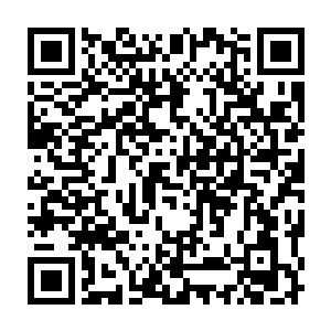 李鸾儿又想到严老将军叫宛秀用着林氏卖粮食的价钱来跟他们买粮食二维码生成