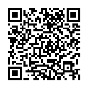 村里的乡亲们也顾不上和白爱国弟兄两个计较了二维码生成