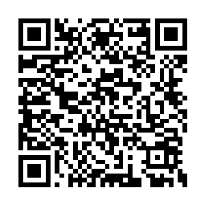 杜克只是华纳兄弟庞大的宣传攻势中的一环而已二维码生成