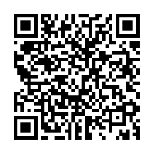 杜海琼眼中流露出一丝果真被本姑娘猜中的得意和不屑的目光二维码生成