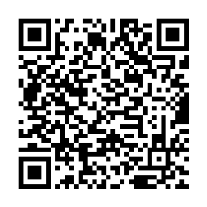 杜若希一把将这两位讨论道士能否娶妻生子的家伙给推倒了身后二维码生成