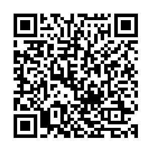 来自魔熊部落和山熊部落的两个勇士正在大殿的正中激烈的角斗二维码生成