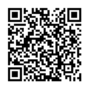 来这里的目的一般都是单纯的被这种生活方式所吸引二维码生成