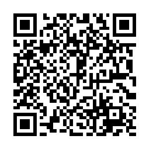 杨凌那机械神国发起的全面攻击会如此的迅猛和恐怖二维码生成
