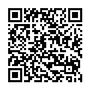 杨天武魂没有被废的时候你们怎么不敢对杨天如此的说话二维码生成