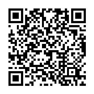 杨家之所以能够屹立不倒这个灵脉可是占了巨大的作用二维码生成