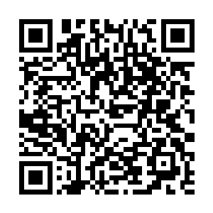 杨家人根本就来不及将传承和一些书法书籍给传下去二维码生成