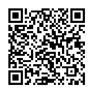 杨家的实力在那时候其实并不比那些千年世家差多少二维码生成