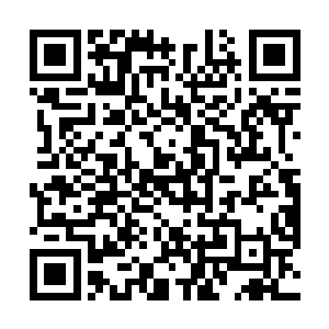 杨庆借邱羡口中的苗毅和熊啸内斗臭名远扬为借口发怒二维码生成
