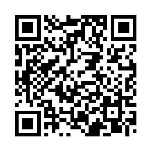 杨廷和已经彻底明白曾毅的意思了二维码生成