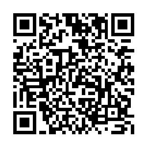 杨开不知白羿为何会在这种时候出现在这个位置二维码生成