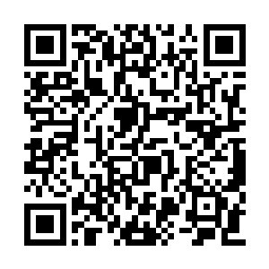 杨开则继续去搜寻那些散落在外的小石族强者们二维码生成