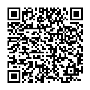 杨开每日照料完自己的果树之后便会领着司晨大将军在果园中行走二维码生成
