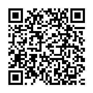 杨开的到来只不过是在他一成不变的平静生活中投入一颗小石子二维码生成