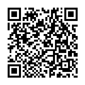 杨开粗略地懂得了如何运用元气增加自己的速度二维码生成