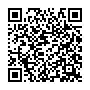 杨念的母亲在生下杨念和杨念妹妹之后便是离开了二维码生成