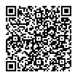 杨戬之所以会飙升到主神顶峰还有一个原因就是炼化了这一滴混沌圣龙的精血之后二维码生成