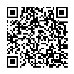 杨戬也在这里感应到了十几股神王境界的高手的气息二维码生成
