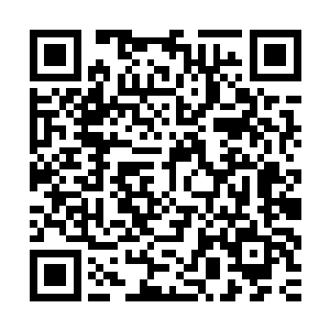 杨戬体内的能量也直接再一次狠狠的朝着焚天圣莲之中狂涌而去二维码生成