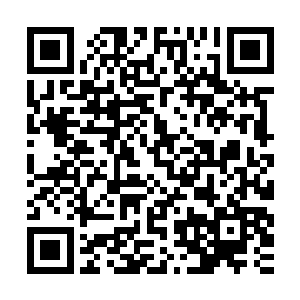 杨戬只感觉一股恐怖的彻骨的寒意瞬间顺着自己的双手狂涌而来二维码生成