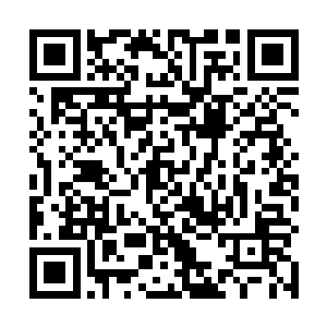 杨戬的废物之名在整个莽山镇那可是无人不知无人不晓二维码生成