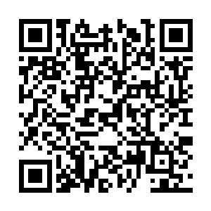 杨戬绝对是不会无缘无故的购买这个玄玉果的种子二维码生成