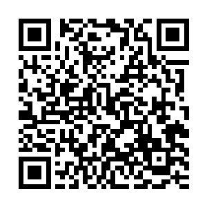 杨敬昌没想到白昊一个小小的武师竟敢向自己这尊巅峰宗师出手二维码生成
