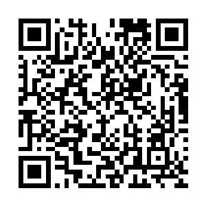 杨晨手中的那把长刀带起一阵凌厉的其实朝大蟒身上砍了过去二维码生成